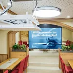 Πανδοχείο Freiensteinerhof Superior